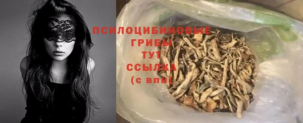 молекула духа Вязники