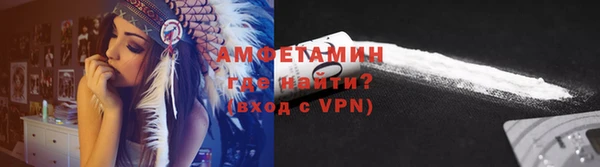 спиды Вяземский