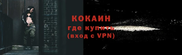 спиды Вяземский