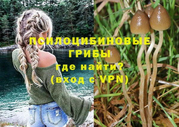 молекула духа Вязники