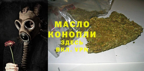 спиды Вяземский