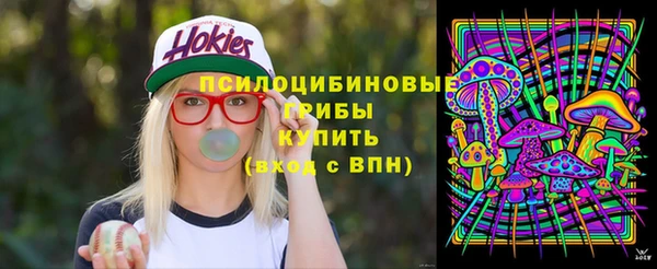 спиды Вяземский