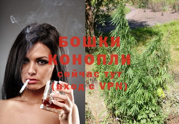 молекула духа Вязники