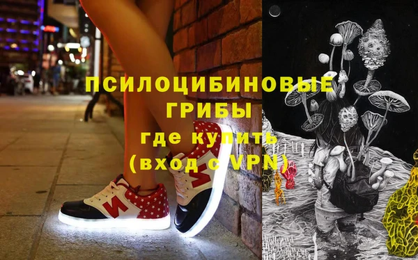 спиды Вяземский
