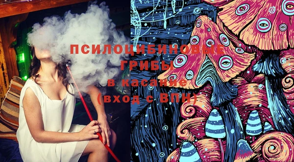 спиды Вяземский