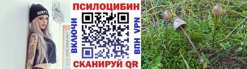 Галлюциногенные грибы GOLDEN TEACHER  Купить где  Эртиль 
