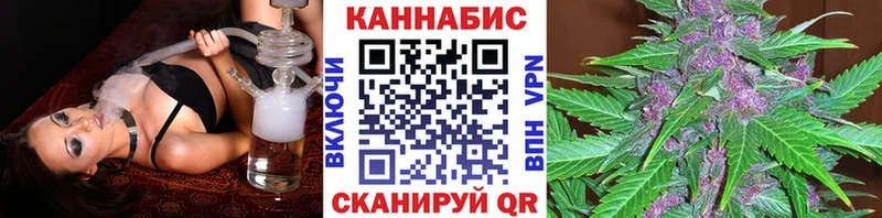 Купить где  Эртиль  Марихуана сатива 